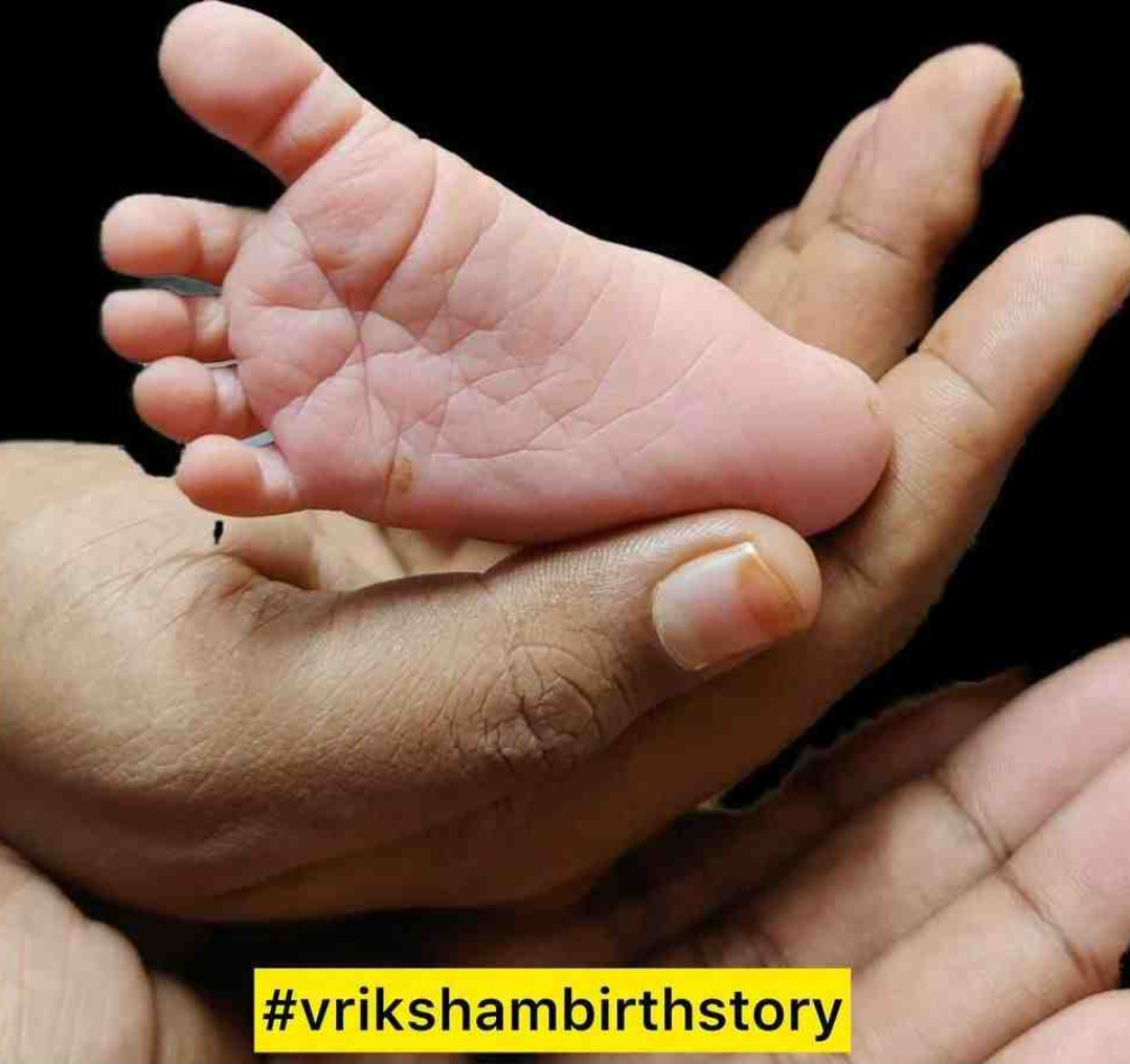 vriksham-anthill-birth-story-post